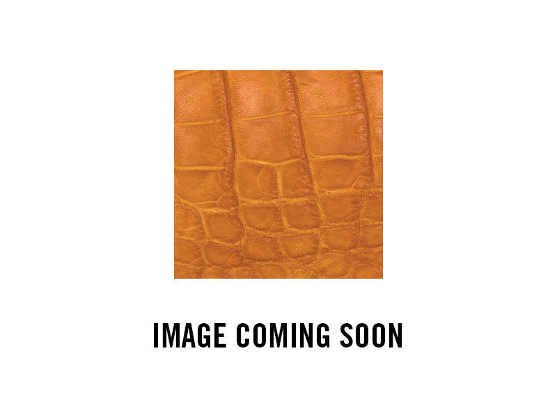 BT Belt