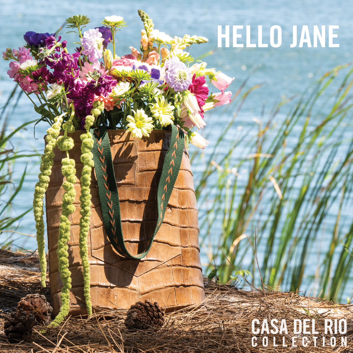Meet Jane