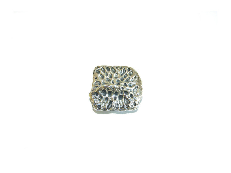 
                      
                        Scute Buckle - Casa del Rio Collection - 4
                      
                    